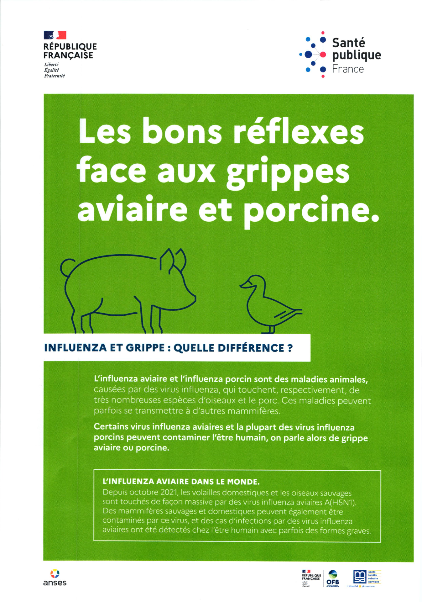 Santé publique : Grippe aviaire et porcine